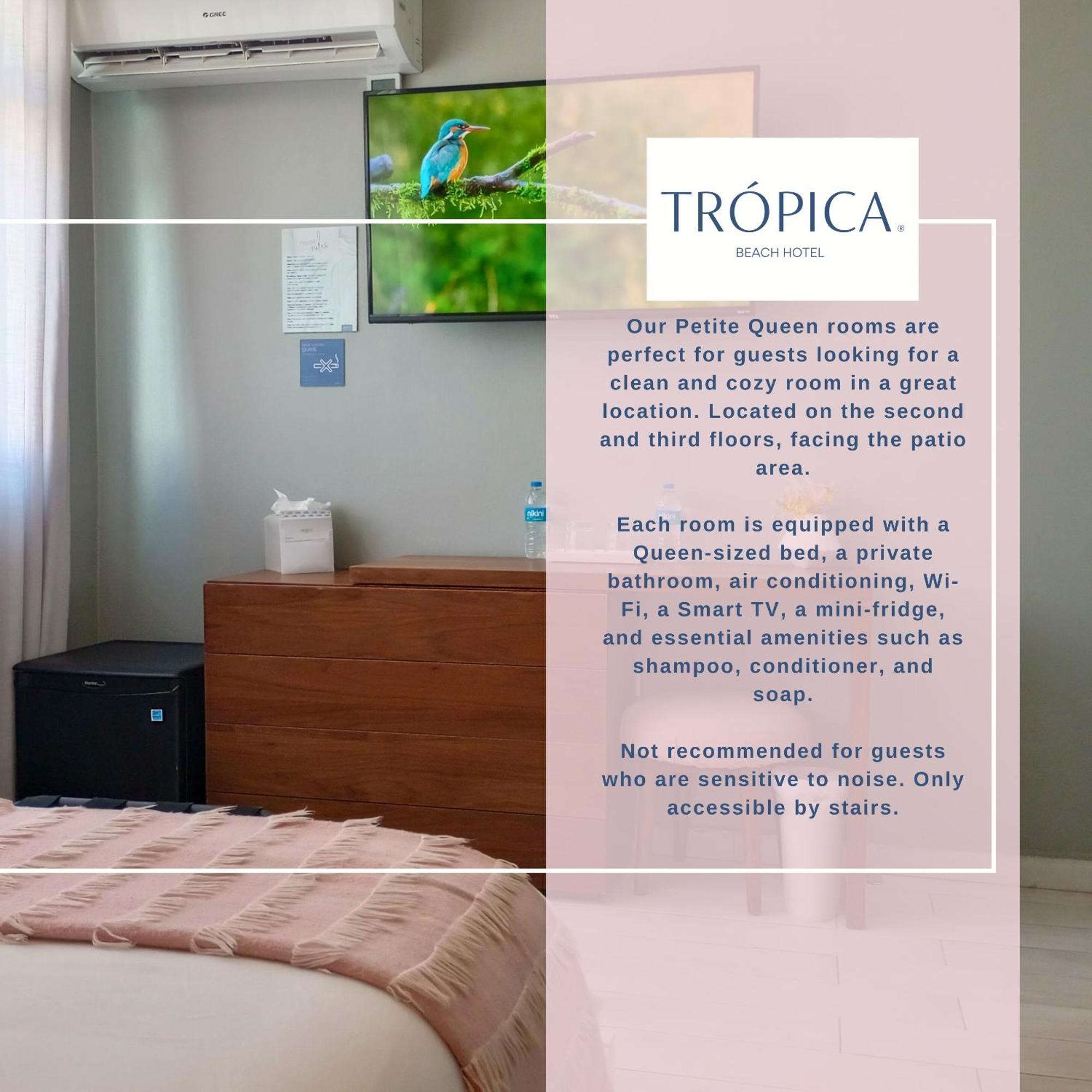 Tropica Beach Hotel (Adults Only) San Juan Szoba fotó